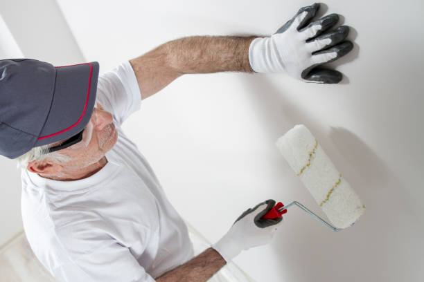 Best Drywall Repair  in Batavia, IL